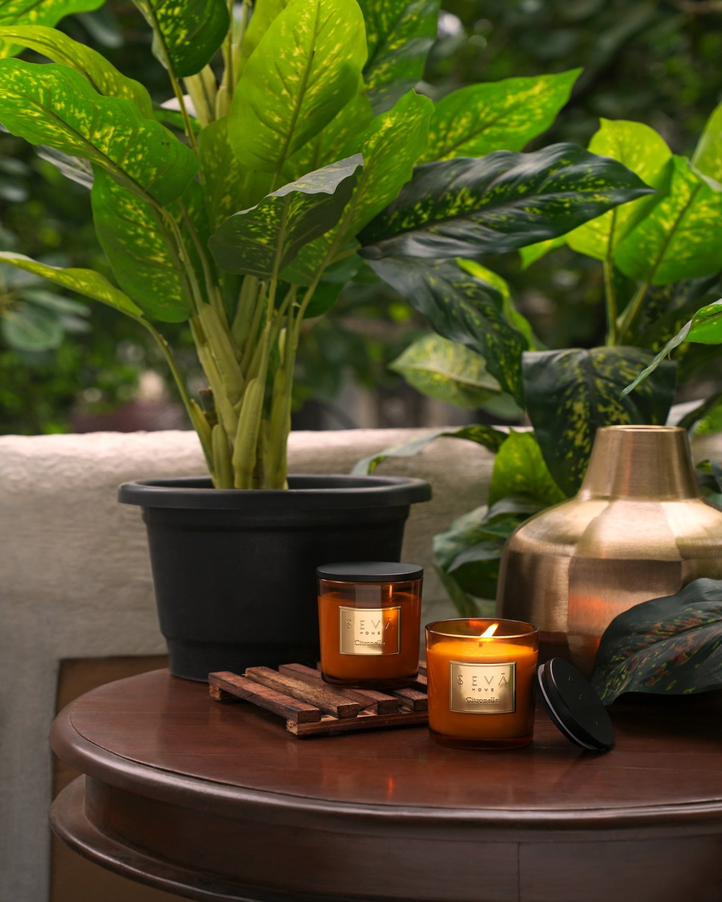 Signature Scented Candle - Citronella - Classic