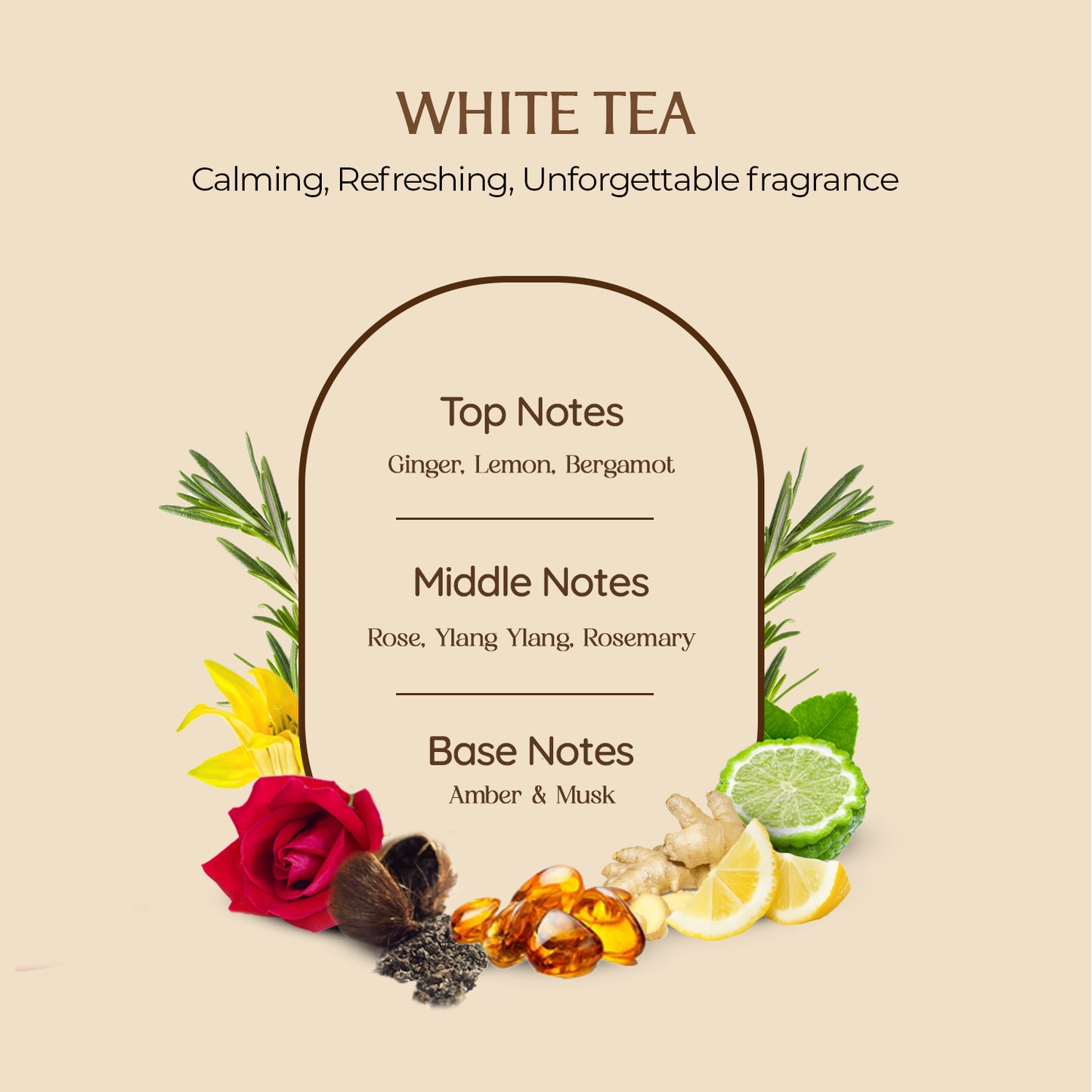 Closet Freshener - Patchouli Rose