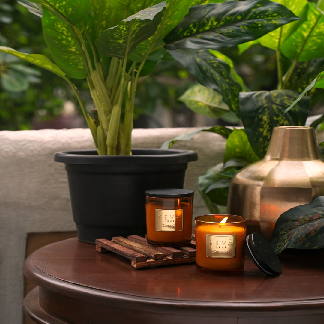 Signature Scented Candle - Citronella - Classic