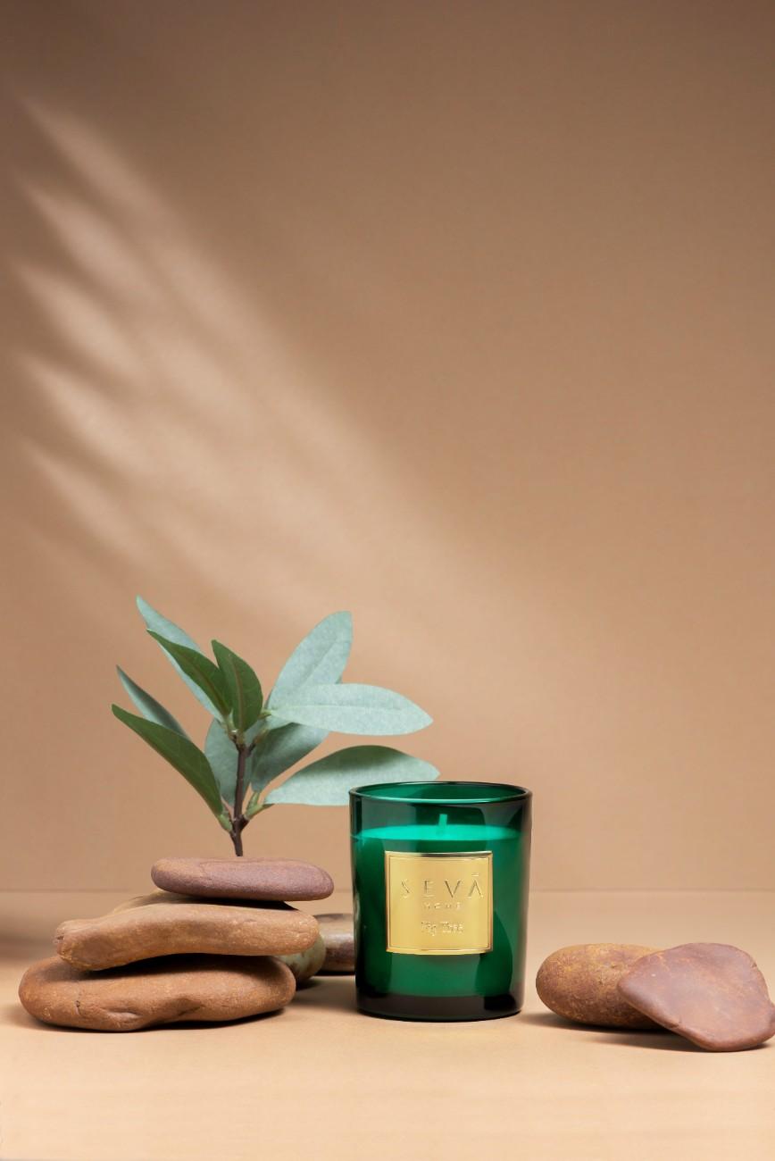 Signature Scented Candle - Fig Tree - Classic