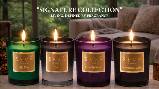 Explore the Essence of the Signature Collection for February