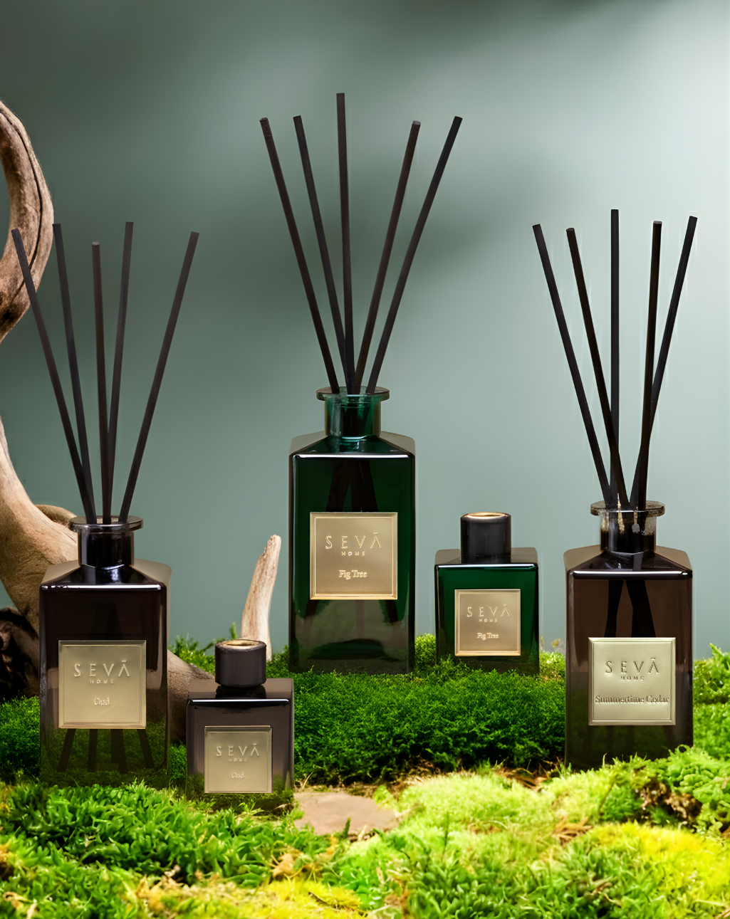 Reed Diffusers: Buy Scented Reed Diffusers | Seva Home