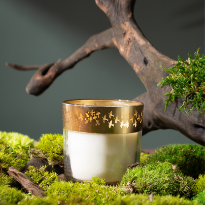 Enchante Candle - Dil Se (Saffron Silk - Birds)