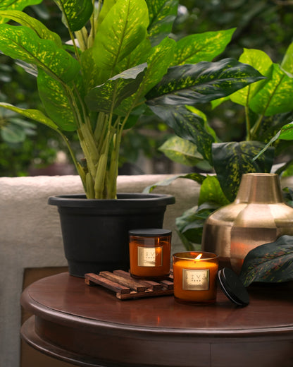 Signature Scented Candle - Citronella - Classic