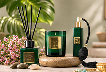 Signature Collection 