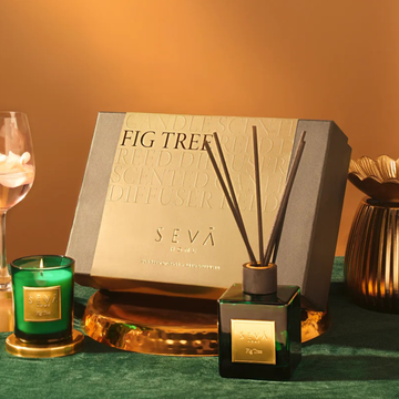 Signature Fig Tree Gift Box