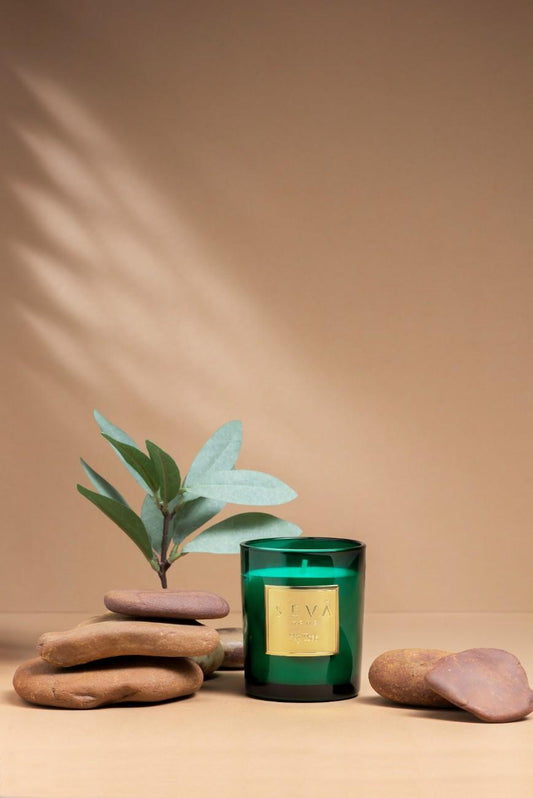 Signature Scented Candle - Fig Tree - Classic