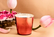 Seva Journal