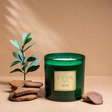 Signature Scented Candle - Fig Tree - Grande